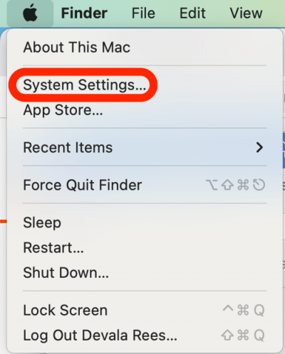 Click on System Settings… 