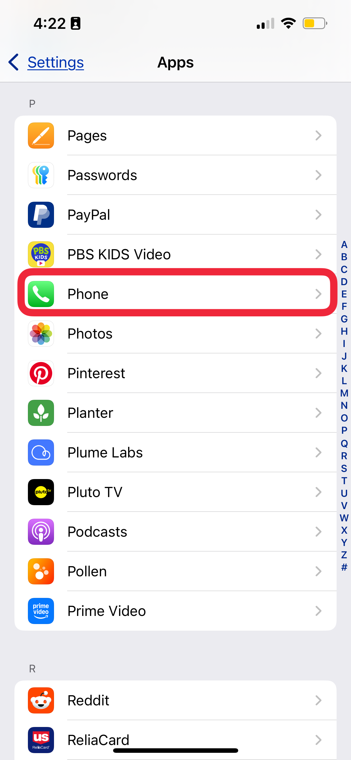 tap phone in iphone app settings